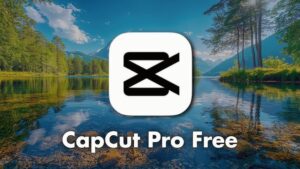 CapCut Pro