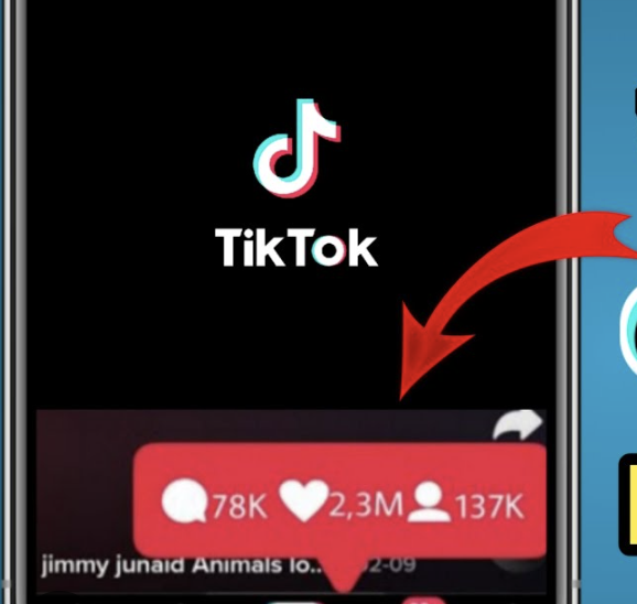Unfreeze Your TikTok Account
